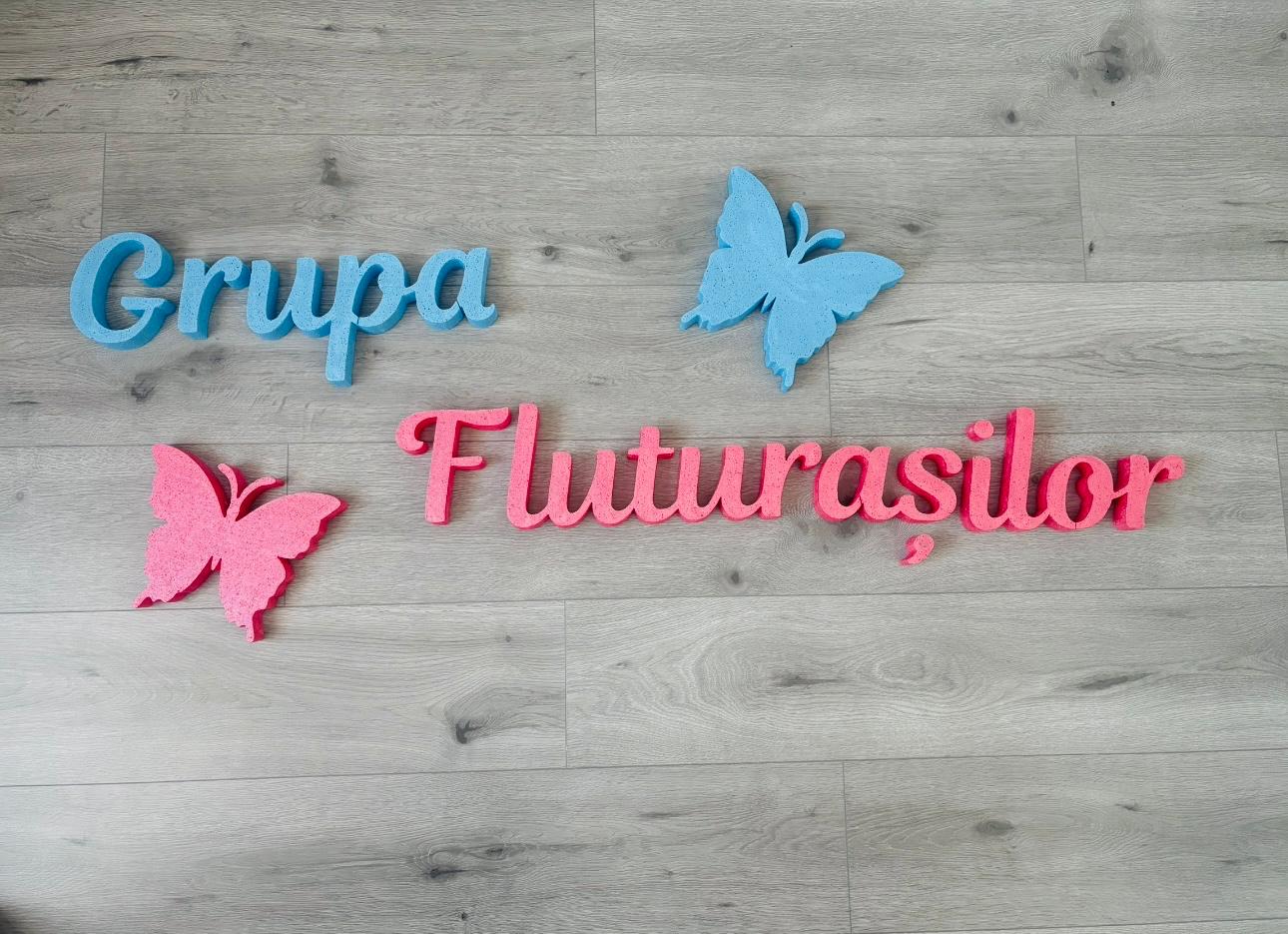 Grupa Fluturasilor - Image 2